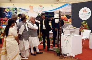 0.76232900_1521276213_1